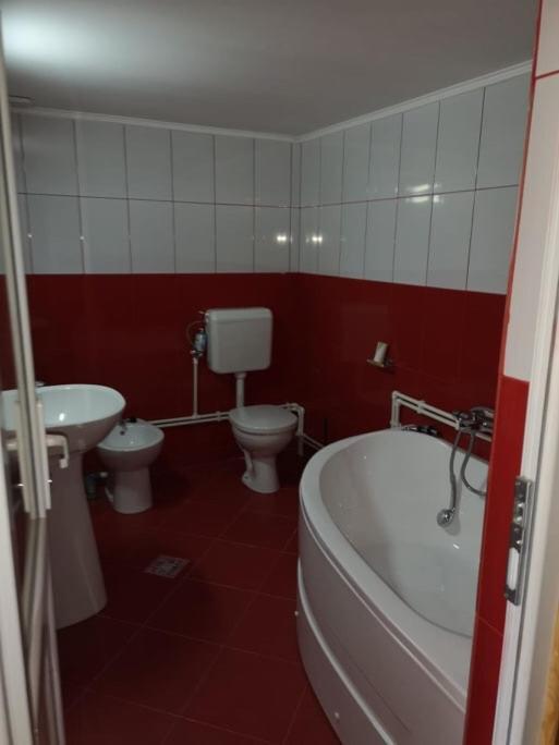 Appartamento Casa Pelerinului Capatineni-Paminteni Esterno foto