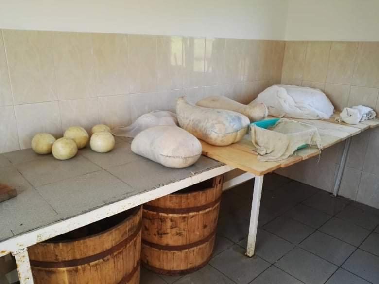 Appartamento Casa Pelerinului Capatineni-Paminteni Esterno foto