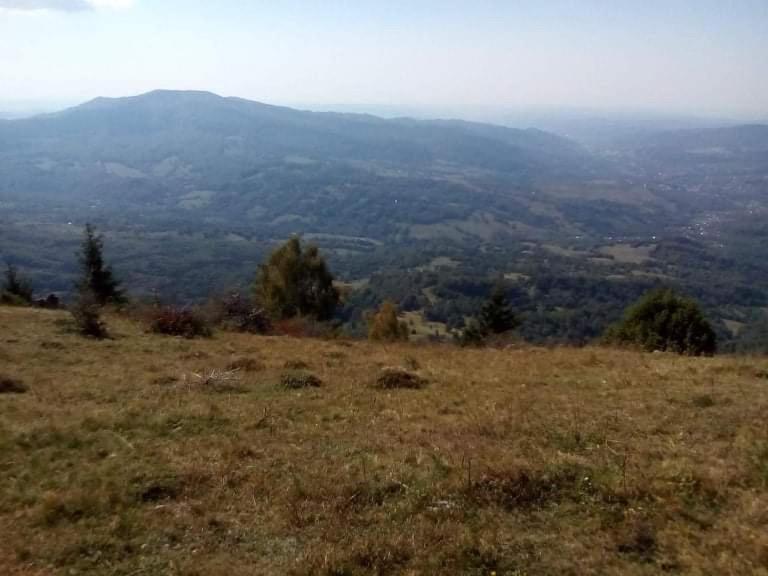Appartamento Casa Pelerinului Capatineni-Paminteni Esterno foto